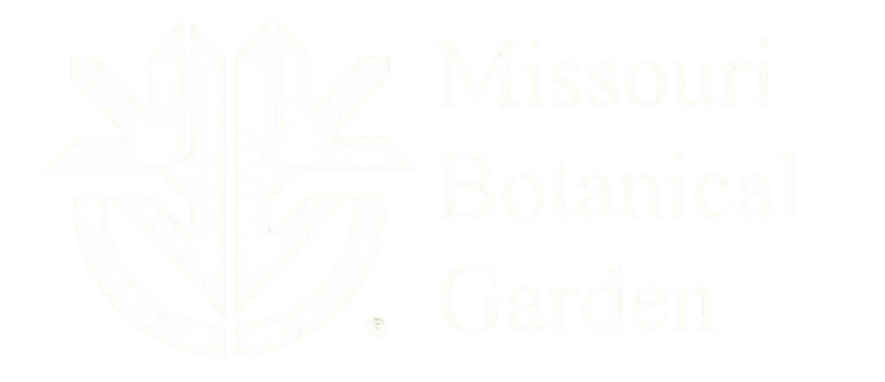 Untitled design (10)