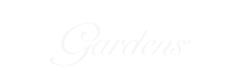 Untitled design (11)