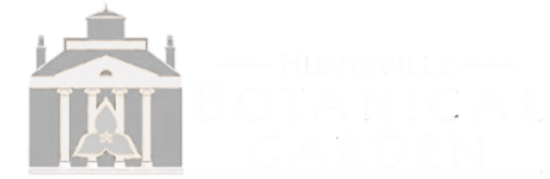 Untitled design (15)