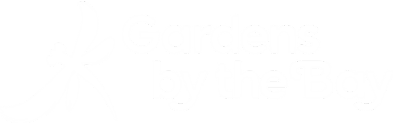 Untitled design (16)