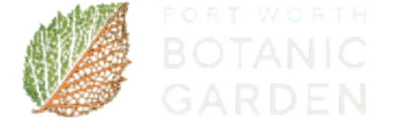 Untitled design (17)